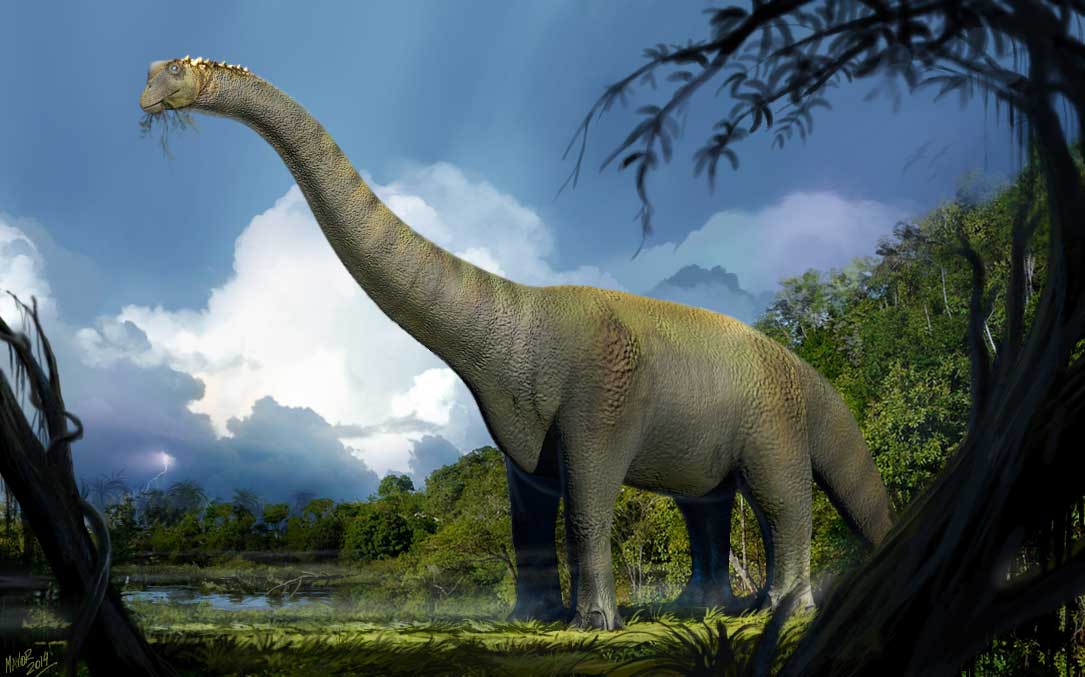 Sauropodo el Dino más grande del mundo